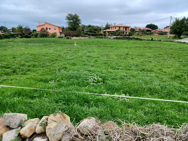Fincas y solares-Venta-Villaviciosa-739040