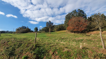 Jardín