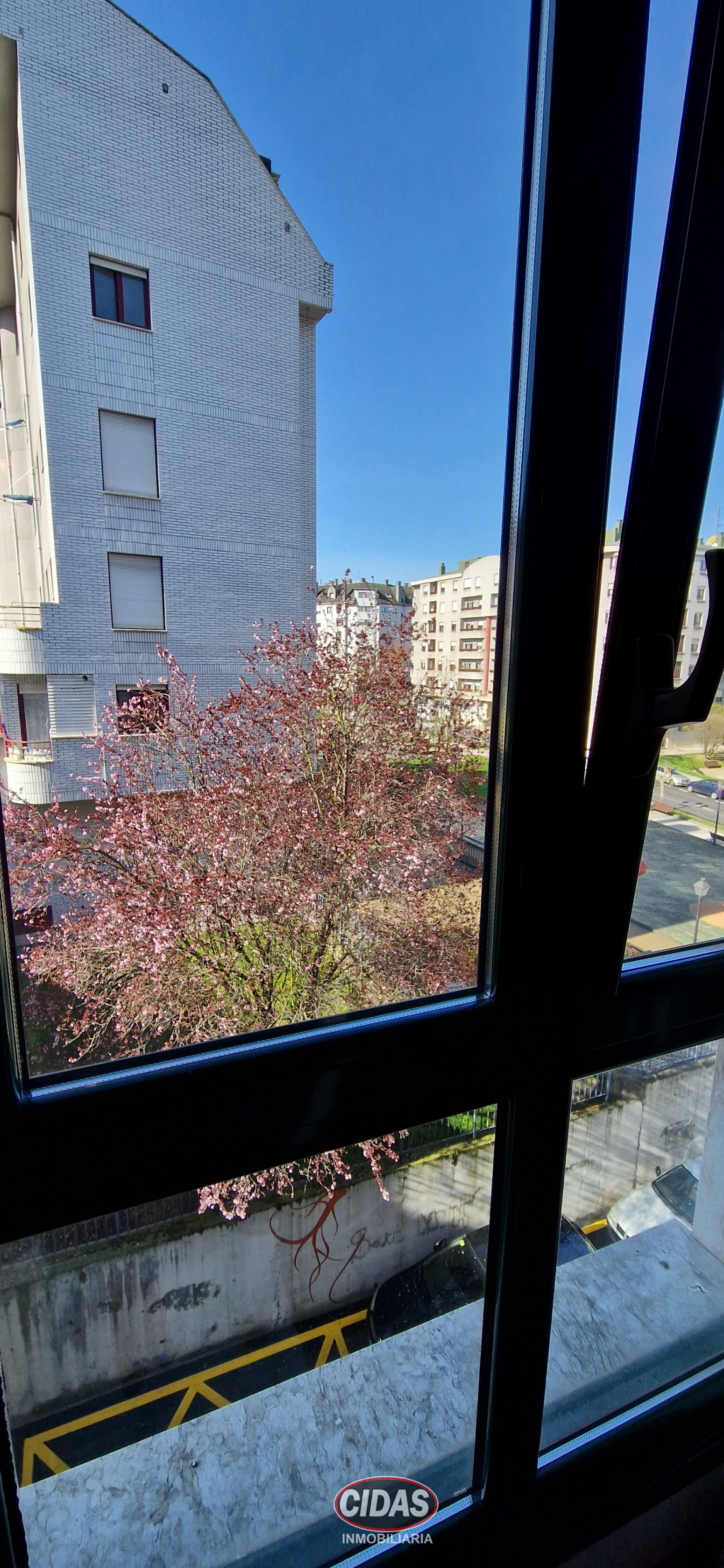 Pisos-Alquiler-Oviedo-820218-Foto-16